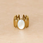 Image de diapositive