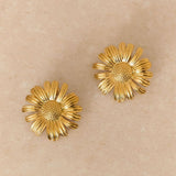 Boucles Amaya
