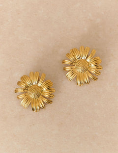Boucles Amaya