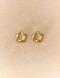 Boucles Victoire